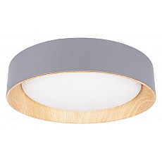 Накладной светильник loft it coin 10202 grey